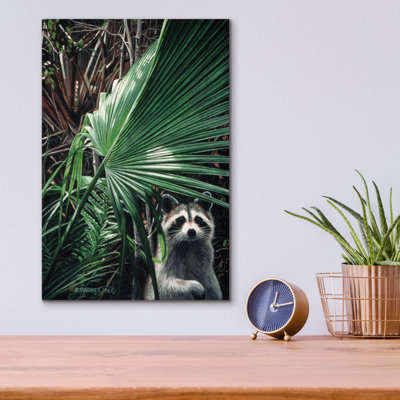 " Everglades Raccoon " by Ron Parker