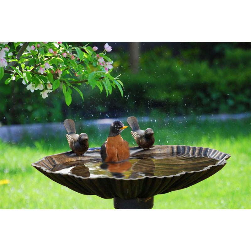 Bain d'oiseaux Elenamarie, Bronze antique