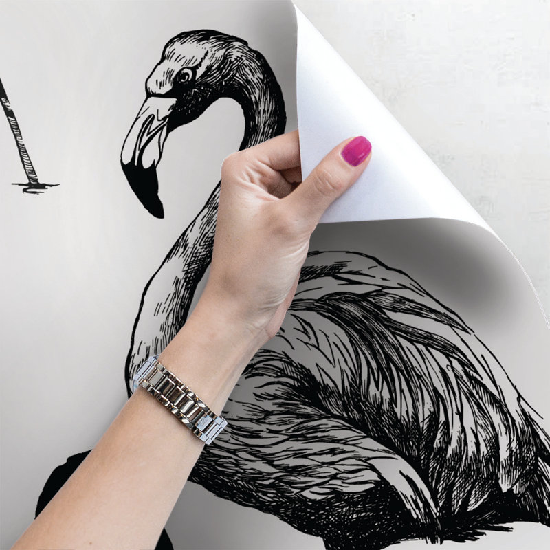 Coletti Matte Mural, 208 x 146cm