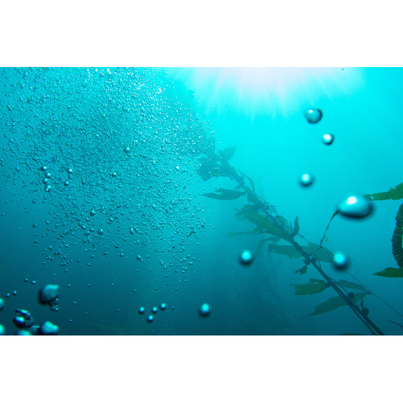 Andujar Underwater View - Wrapped Canvas Print, 30cm H x 46cm W x 3.8cm D