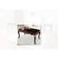 Table basse Seles