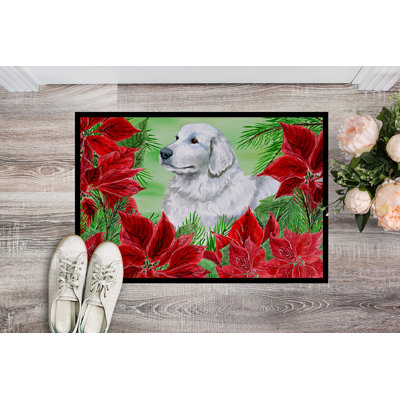 Non-Slip Outdoor Doormat