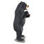 Statue ours noirs qui grogne grandeur nature
