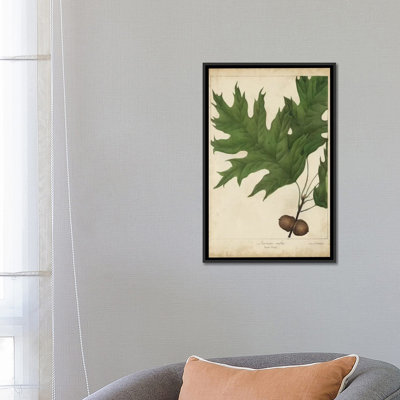 «Oak Leaves & Acorns II», impression sur toile