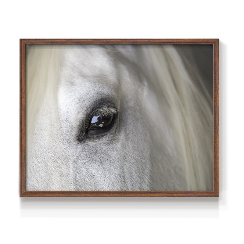 Balearic Island Horse -Framed Print - Restickable, H 22 po x l 28 po, Noyer