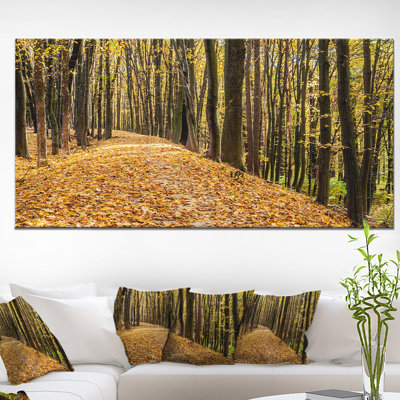 «Dense Autumn Forest Woods», reproduction de photo sur toile tendue