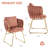 Dining Chair with Metal Frame