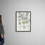 Reproduction d’art sur toile, "Early Bloom I" par Timothy e Toole-974124070-974124065