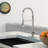 Red Cloud Pull Down Kitchen Faucet