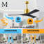 Nan 42" Ceiling Fan In Blades-1611395865-1662758411