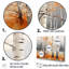«Orange Brich Wood In Winter II», reproduction sur toile-97043485-97043486