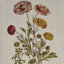 Toile botanique quadriptyque