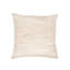 Square Indoor/Outdoor Pillow Cover & Insert-63620855