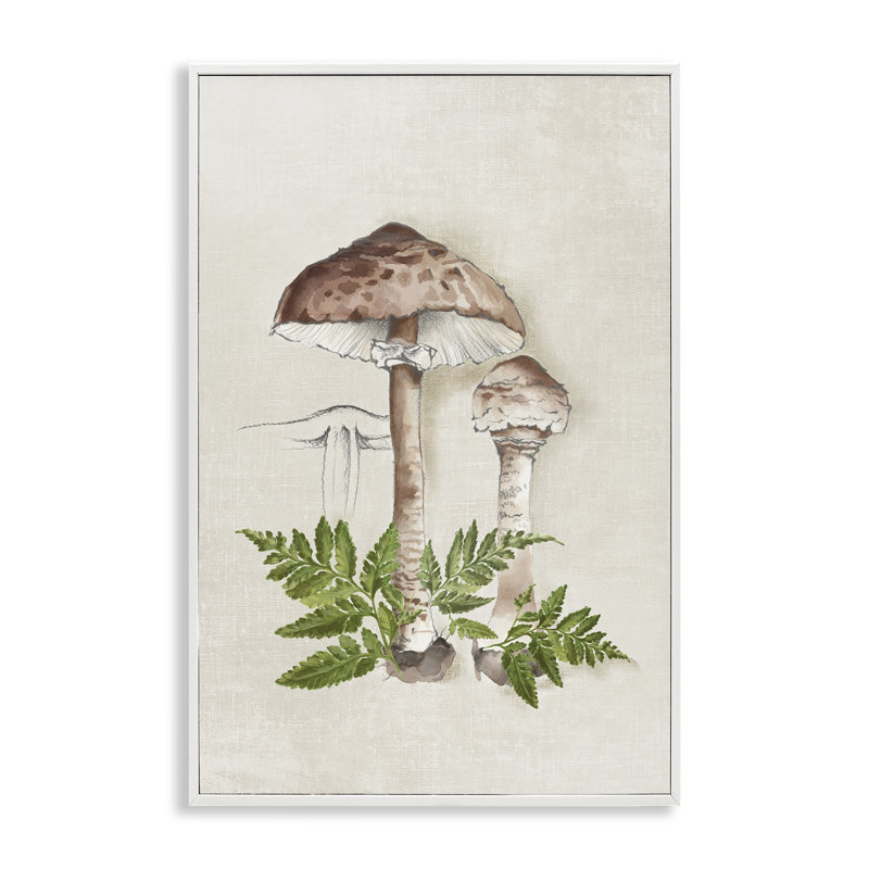 Champignon et fougères, art de la giclée par Eli Jones, Giclée encadrée blanc bord de mer, H 30 po x l 20 po