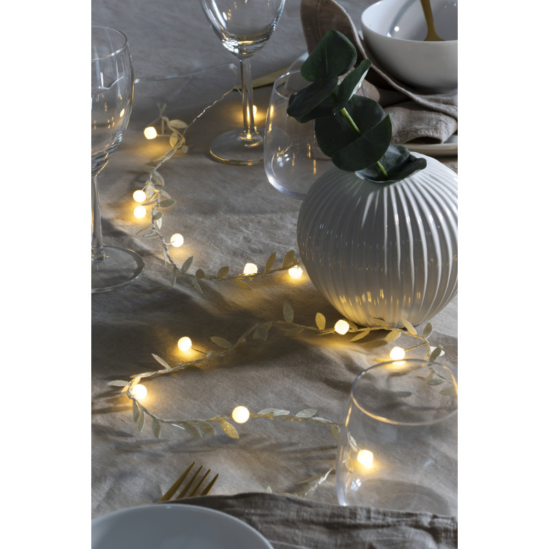 220cm LED Battery Powered 20 - Bulb Novelty String Light
