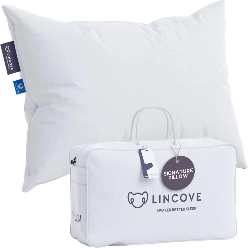 Oreiller en duvet canadien Signature, Grand 20 po x 36 po