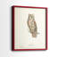 Scops Eared Owl - reproduction encadrée de qualité supérieure - prête à être accrochée - aucun clou requis - aucun clou requis-811251297-811251322