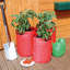 St. Helens Home & Garden Growing Kit