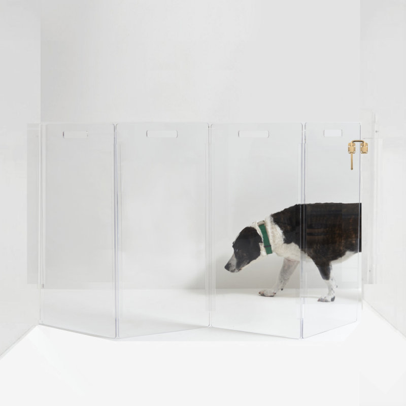 Barrière murale haute pour animaux Zig Zag , 4 panneaux, Doré, 30" H x 60" W x 0.25" D