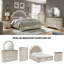 Eridani 63.88'' W 7 - Drawer Dresser