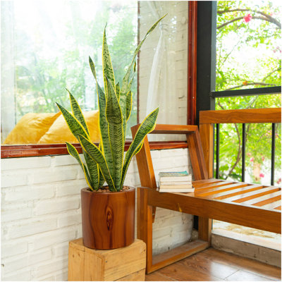 7.8 In. Dark Wood Plastic Self-Watering Planter Pot