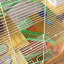 Habitat pour hamster 18 "à 5 niveaux avec tubes, tunnels, poignée portative, orange, plat à nourriture encastré, bouteille d'eau, roue d'exercice pour petits hamsters et enclos composé de