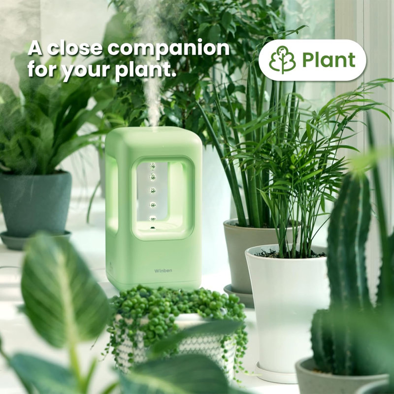  Humidificateur anti-gravité à goutte d'eau, Vert