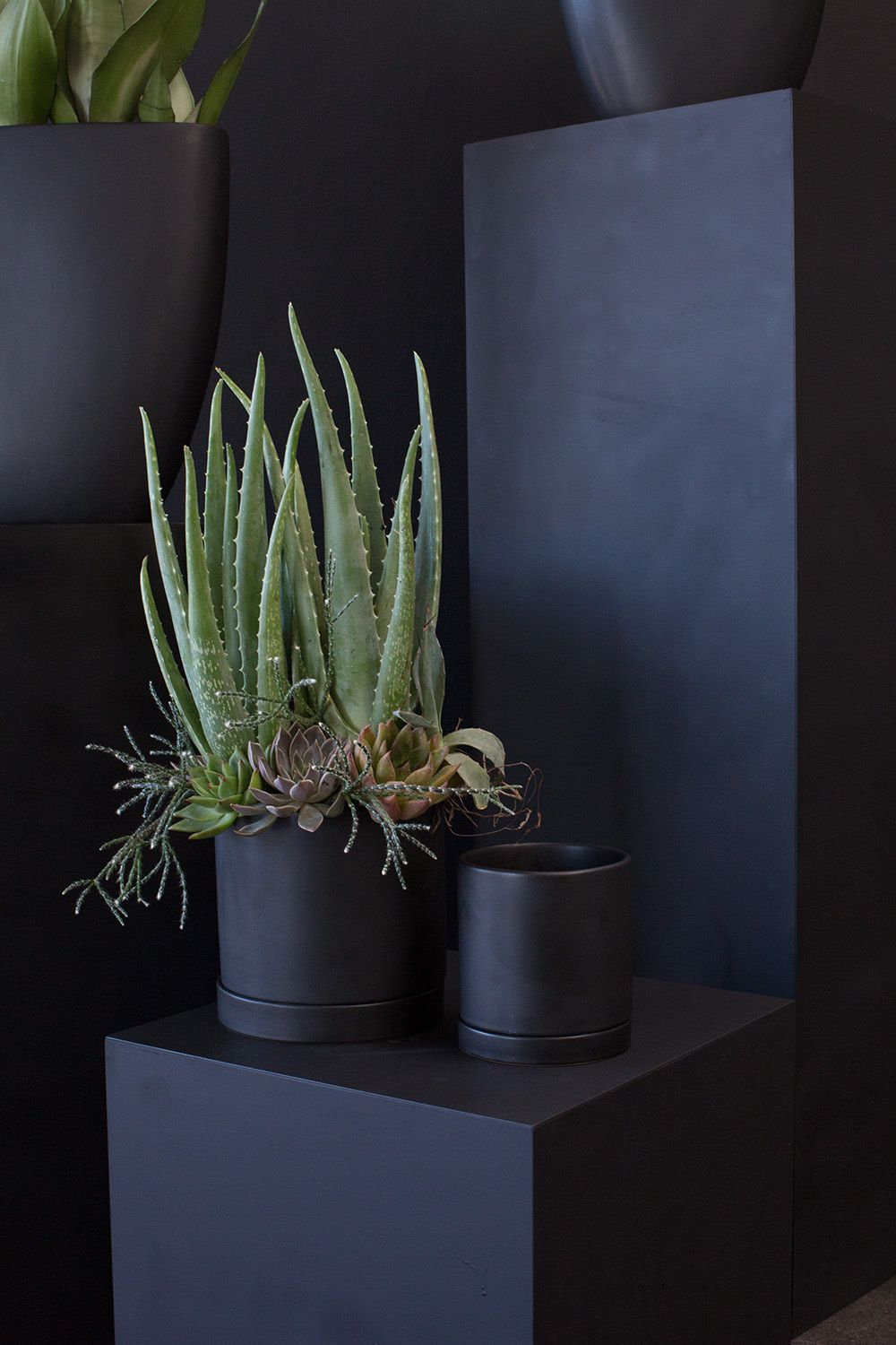 Carlotta Ceramic Pot Planter, 7" H x 7" W x 7" D, Black