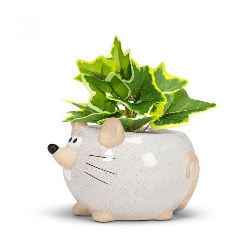 Cache-pot Muntrin, Blanc / Naturel, H 2,5 po x l 3,5 po x P 4 po