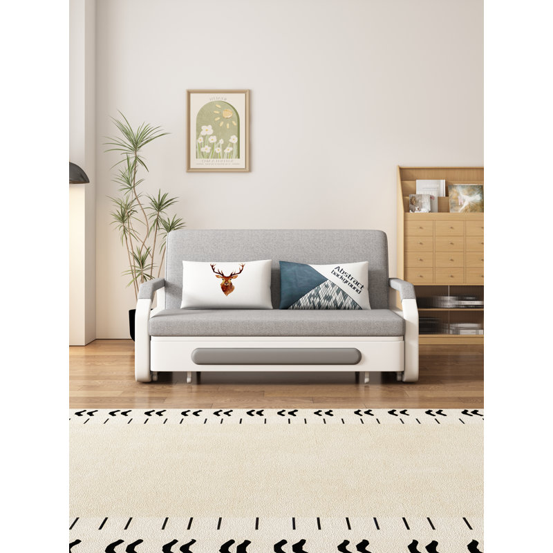 Aneva Upholstered 62.2'' Sleeper Sofa