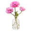 Pink Ranunculus in Glass Bud Vase