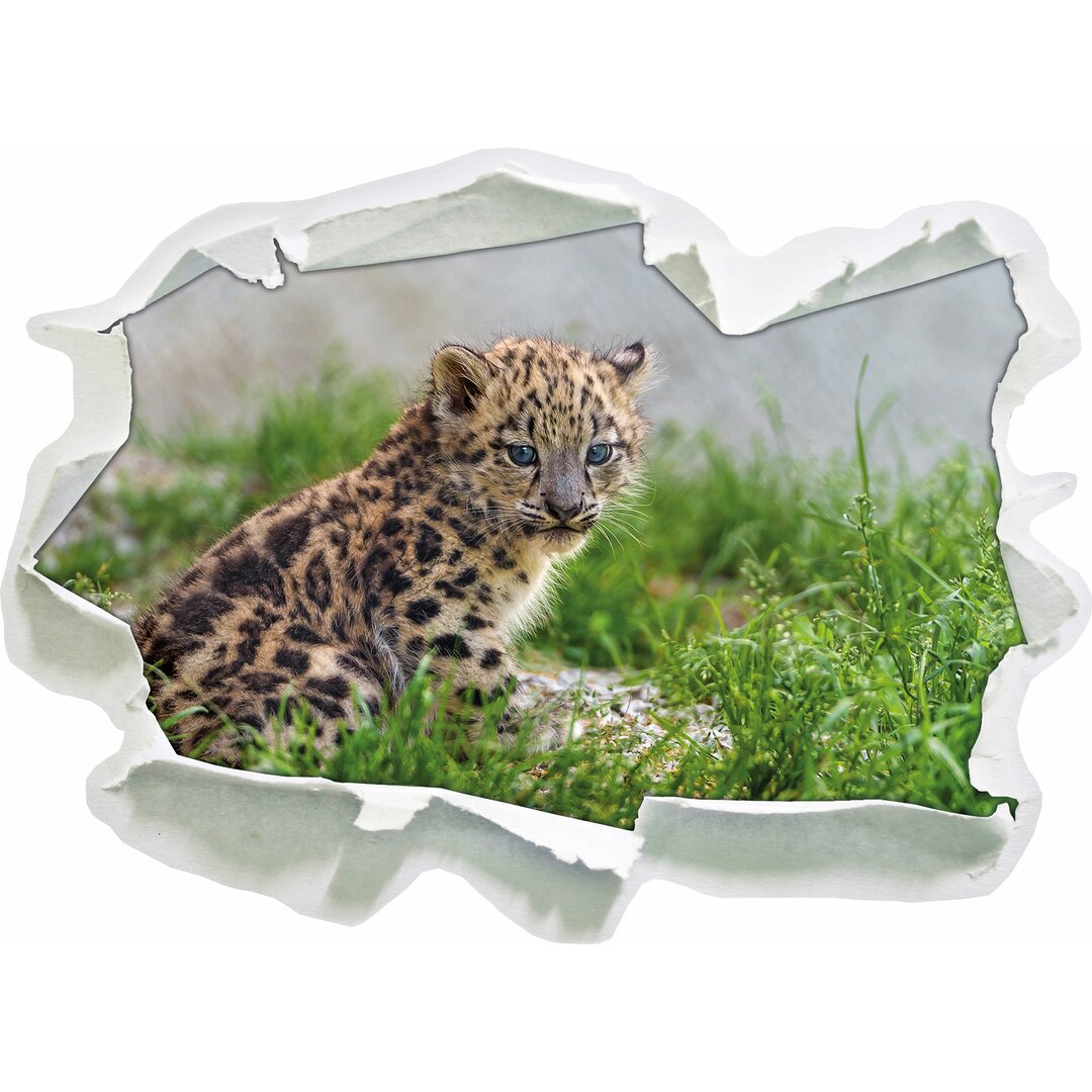 Wandtattoo Junger Leopard im Gras