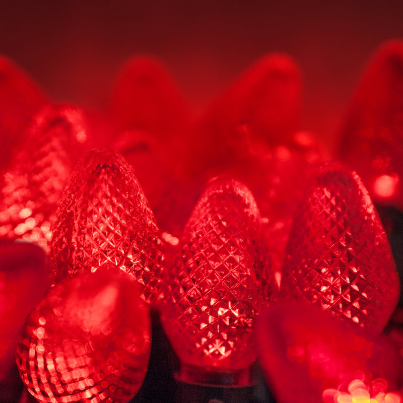 C9 LED Christmas String Light, Red, 17' L, 25