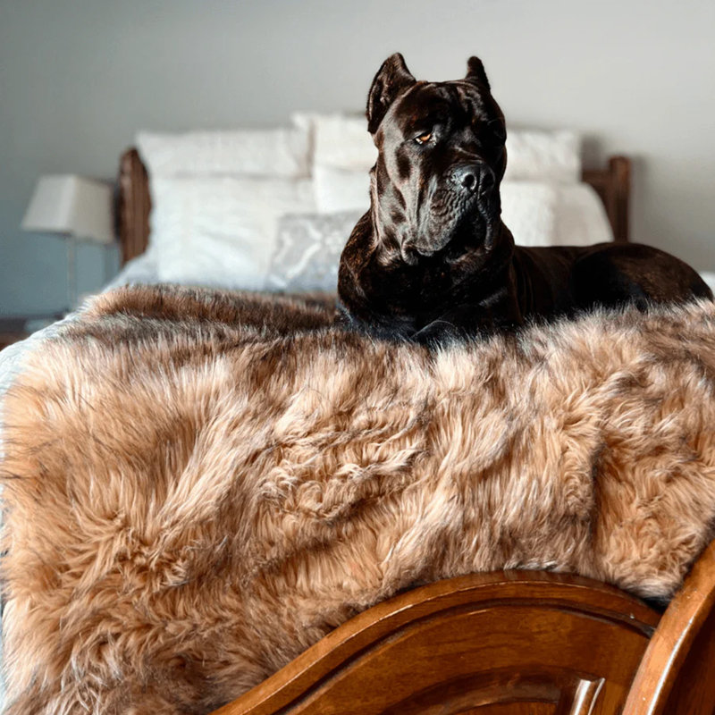 PupProtector Waterproof Throw Blanket, 60" x 50", Sable Tan