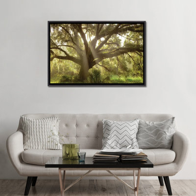 " Beautiful Southern Live Oak Tree, Flordia " by Maresa Pryor