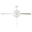 Ventilateur de plafond standard à 5 pales de 52 po avec chaîne de traction et ensemble d'éclairage inclus Cayman-86792521