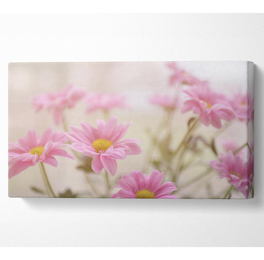 Newbill Pink Flowers In Soft Light - Leinwanddrucke auf Leinwand