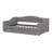 Upholstered Daybed With LED Belt And Trundle-1663821394