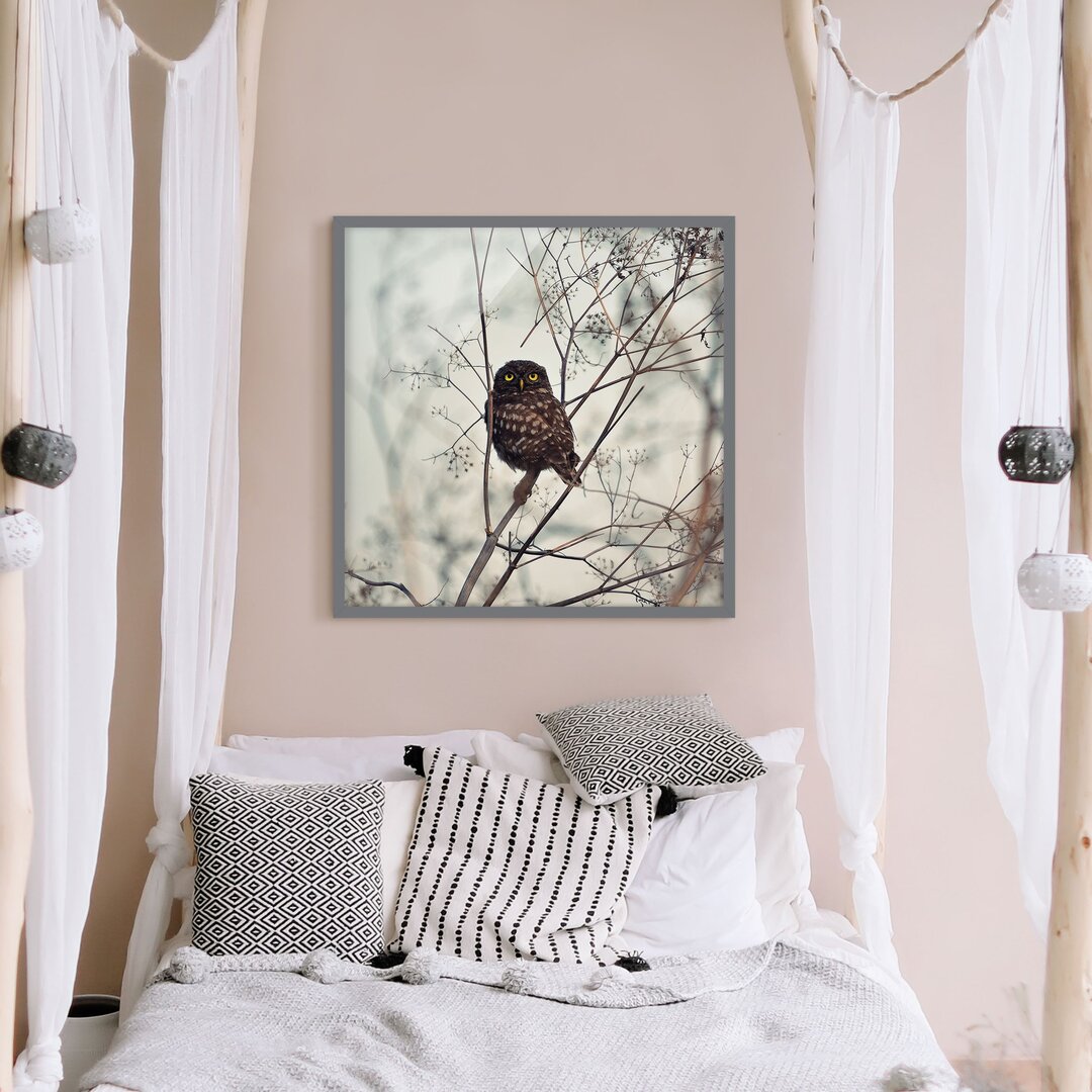 Gerahmtes Poster Owl in Winter