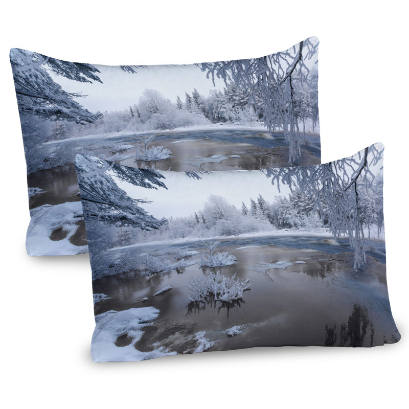 Ensemble de 2 taies décoratives Ambesonne Winter, H 20 po x l 36 po