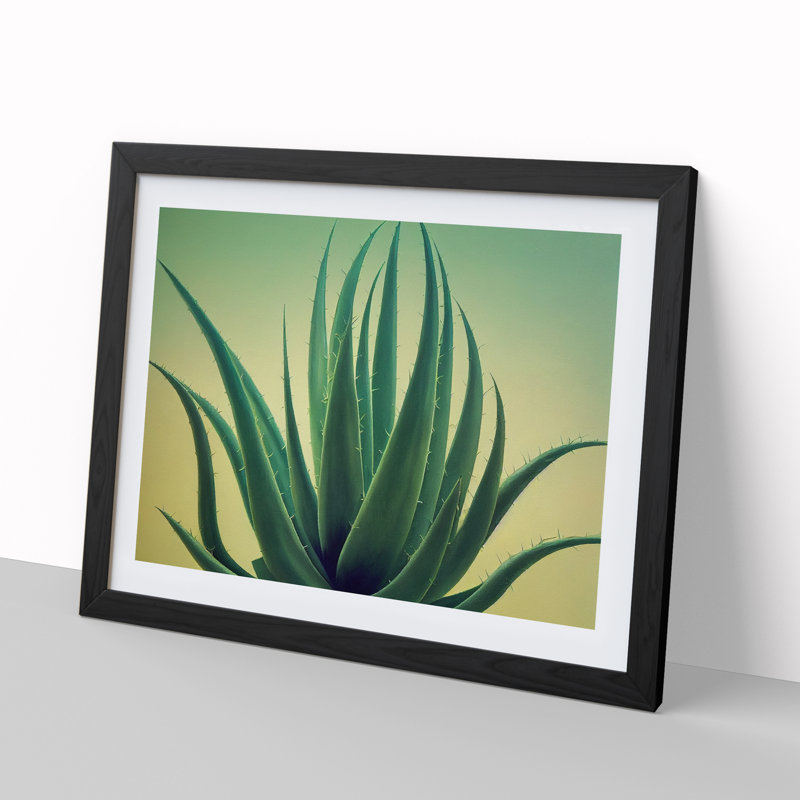 Showstopping Aloe Vera Plant - Framed Print, Black, 46cm H x 64cm W x 2cm D