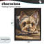 Cadre flottant Yorkshire Terrier Portrait, conception par George Dyachenko-1790570992-1790570993