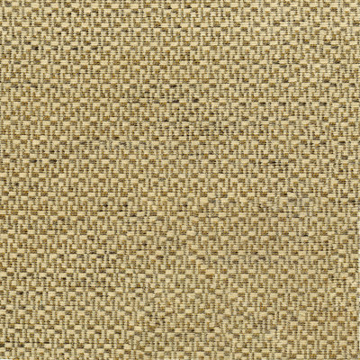 Abbeyshea Carlos Chenille Fabric By The Yard