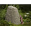 Spataro Weather Resistant Plastic Abstract Garden Stone-1095534918