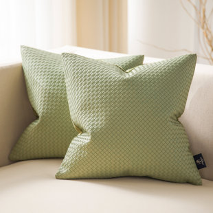 https://assets.wfcdn.com/im/53426639/resize-h310-w310%5Ecompr-r85/2165/216532764/throw-pillow-set-of-2.jpg