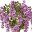 Arbre en pot 48 po Wisteria-1637791003