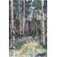 Birches - Green Seasons, reproduction encadrée avec passe-partout pour la décoration intérieure-486138485-486138486