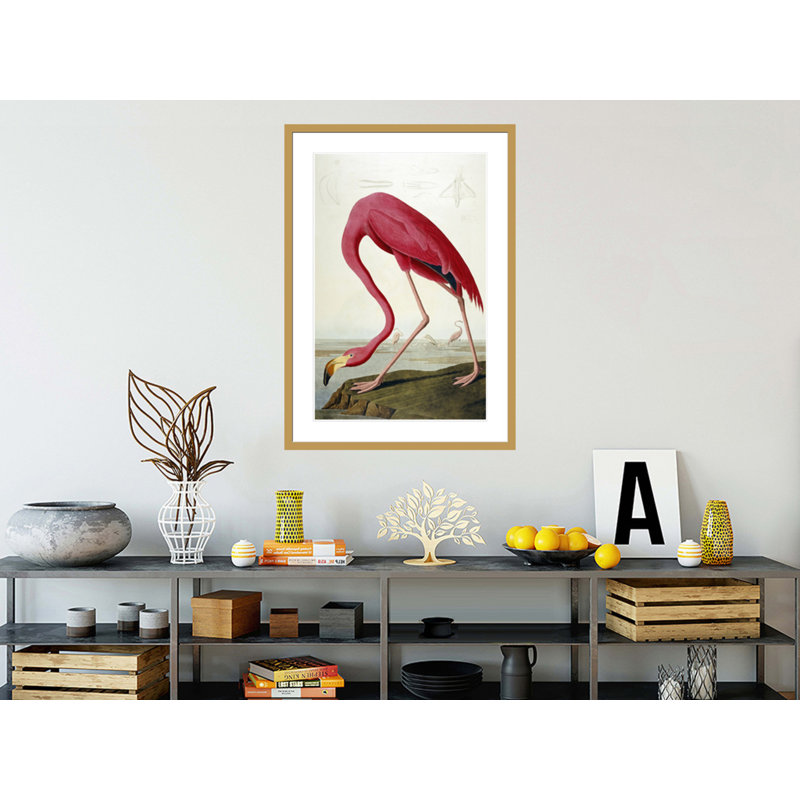 «American Flamingo» par John James Audubon, impression giclée sur cadre, H 41,5 po x l 29,4 po