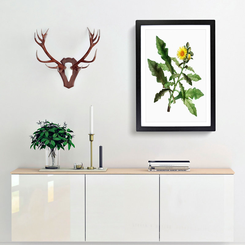 Yellow Sow Thistle by Pierre-Joseph Redoute - Picture Frame Painting Print, Black Framed, 36cm H x 27cm W x 2cm D