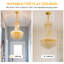 Alarica 6 - Light Chandelier